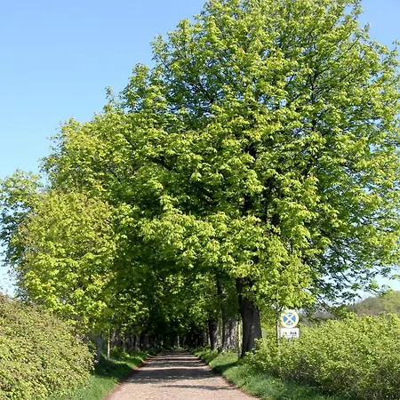 Wreecher Idyll Nr 18 *